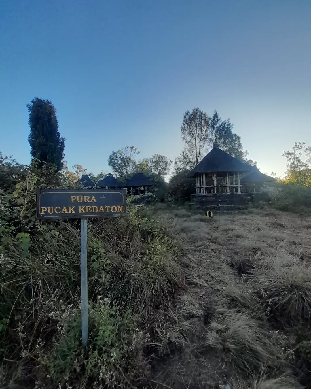 Batukaru Mountain Hiking – Guided Summit Experience